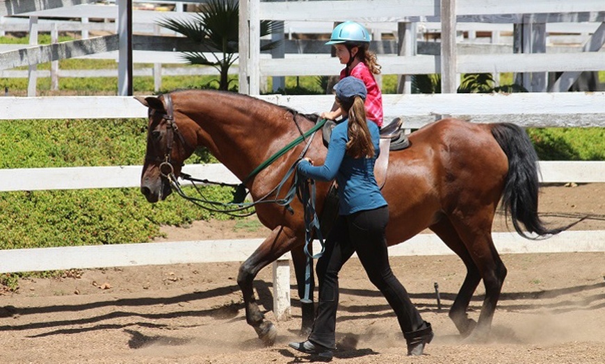 Image 5: Master Horse Riding Essentials w/ Liz Bolton Stables’ Private Lessons 