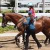 Image 4: Private Horseback Riding Lessons with Personalized Instruction