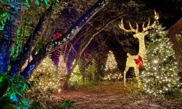 What to expect media