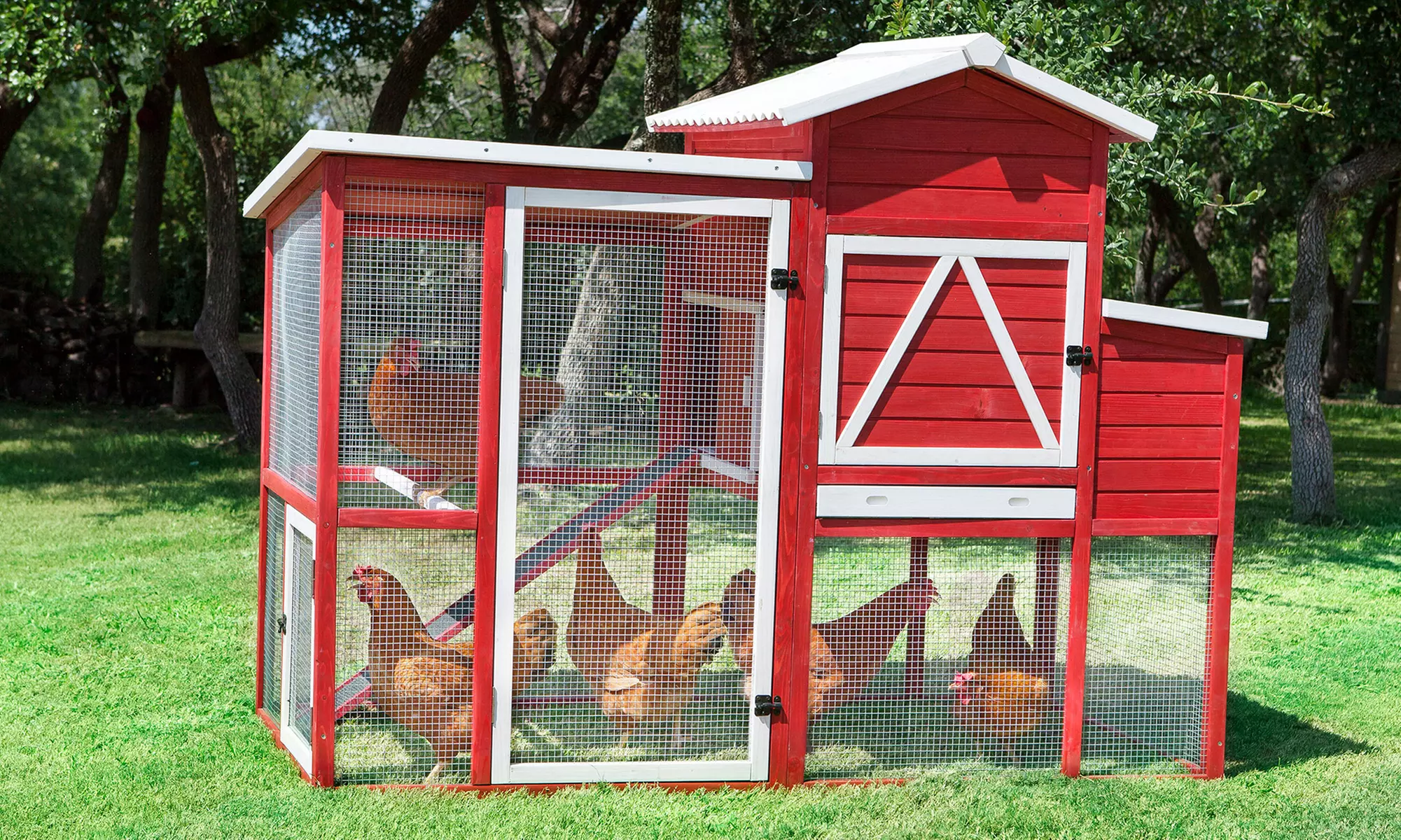 Precision Pet Barn Ranch Chicken Coop - Primary Image