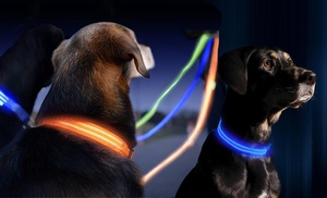 LED Pet Collar and Leash