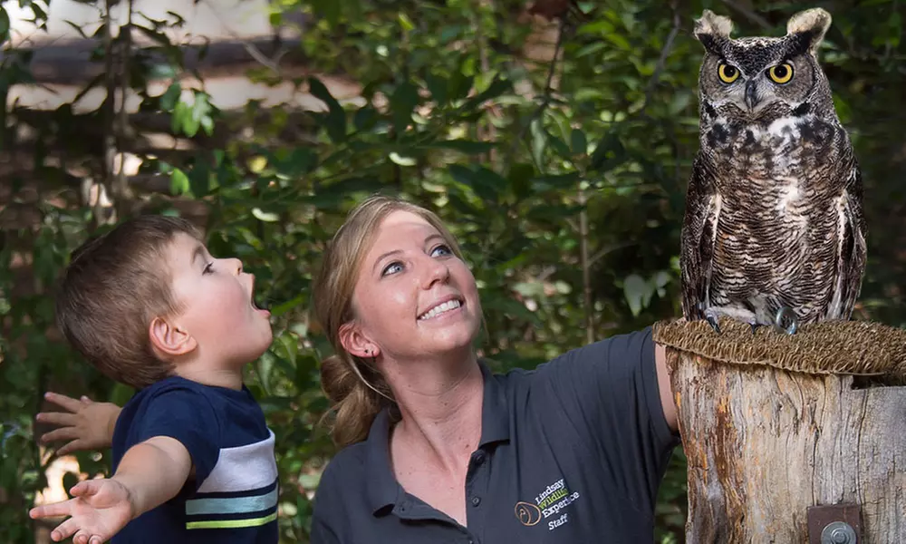 $64 for Family Membership at Lindsay Wildlife Experience ($80 Value) - Second Medium