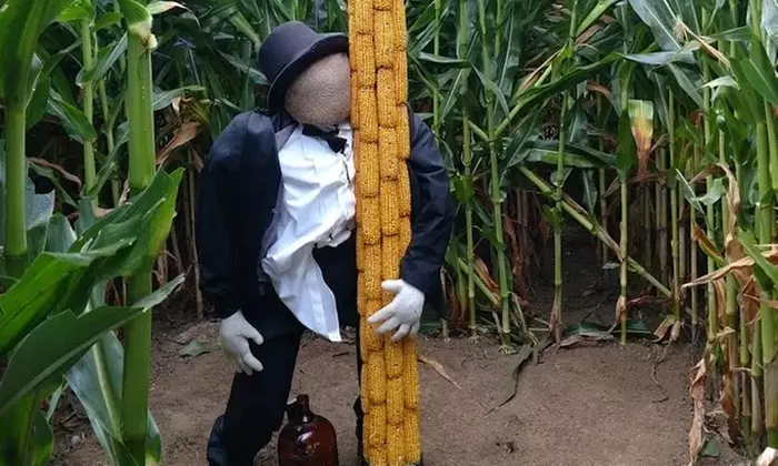 Get Lost in the Corn Maze and Relax by the Communal Fire Pits