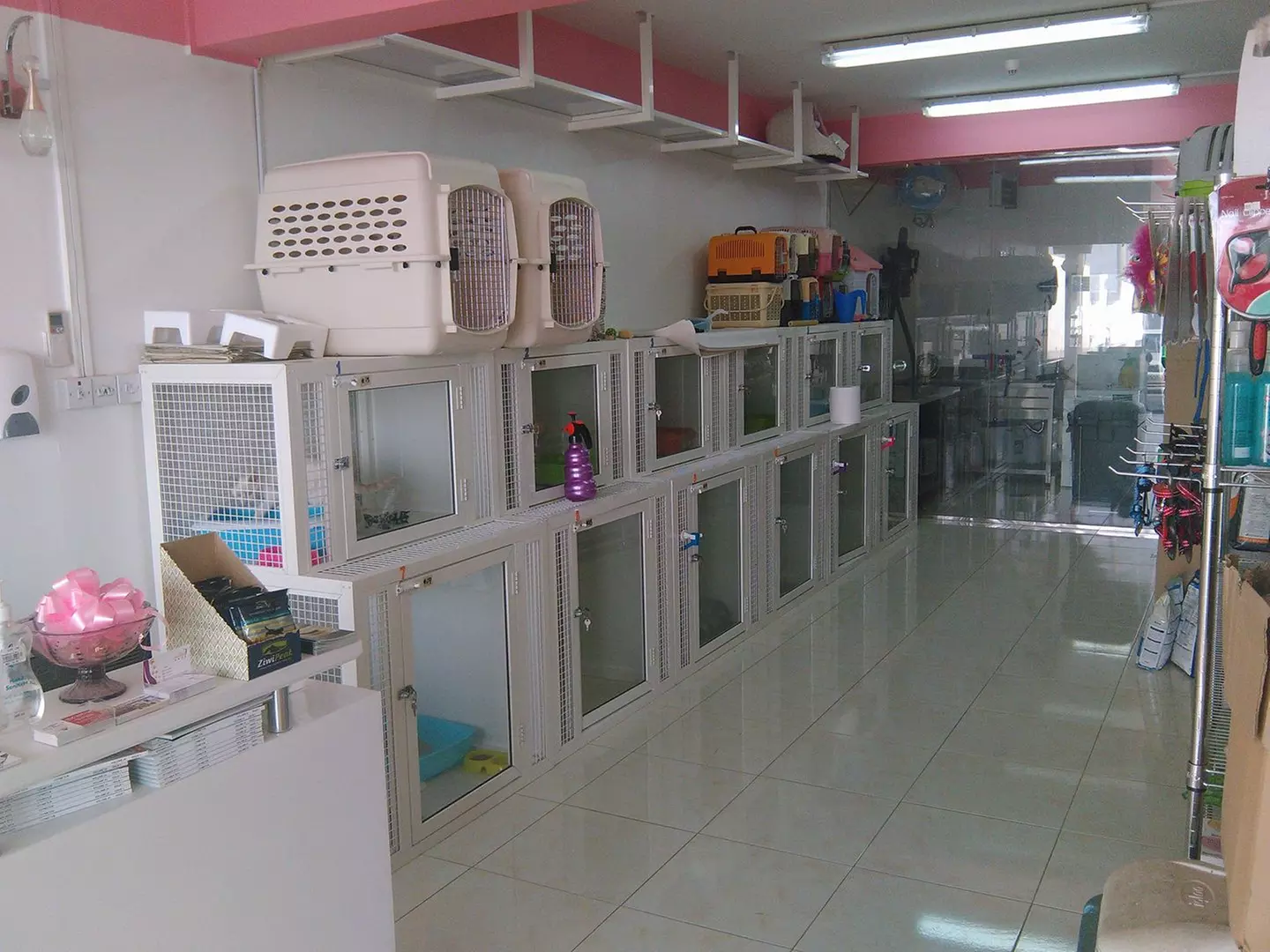 Pet Grooming Package at Sweet Grooming Pet Salon