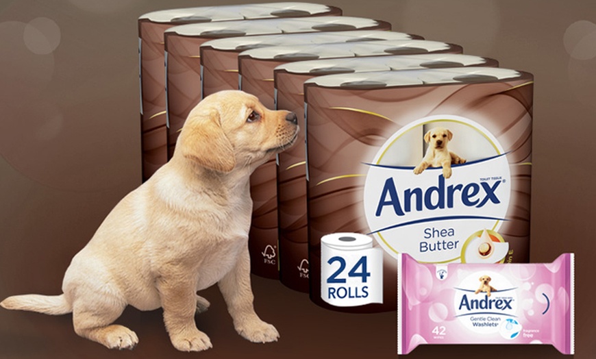 Image 1: Andrex Toilet Paper Rolls