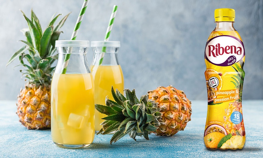 Image 3: 500 ml Ribena Pineapple and Passion Fruit Juice 12-Pack
