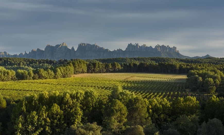 Image 9: ¡Aprende a montar a caballo como un pro en Centre Hípic Montserrat!