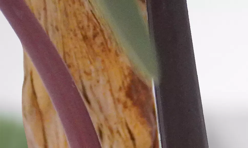 Collezione di piante finte da interno