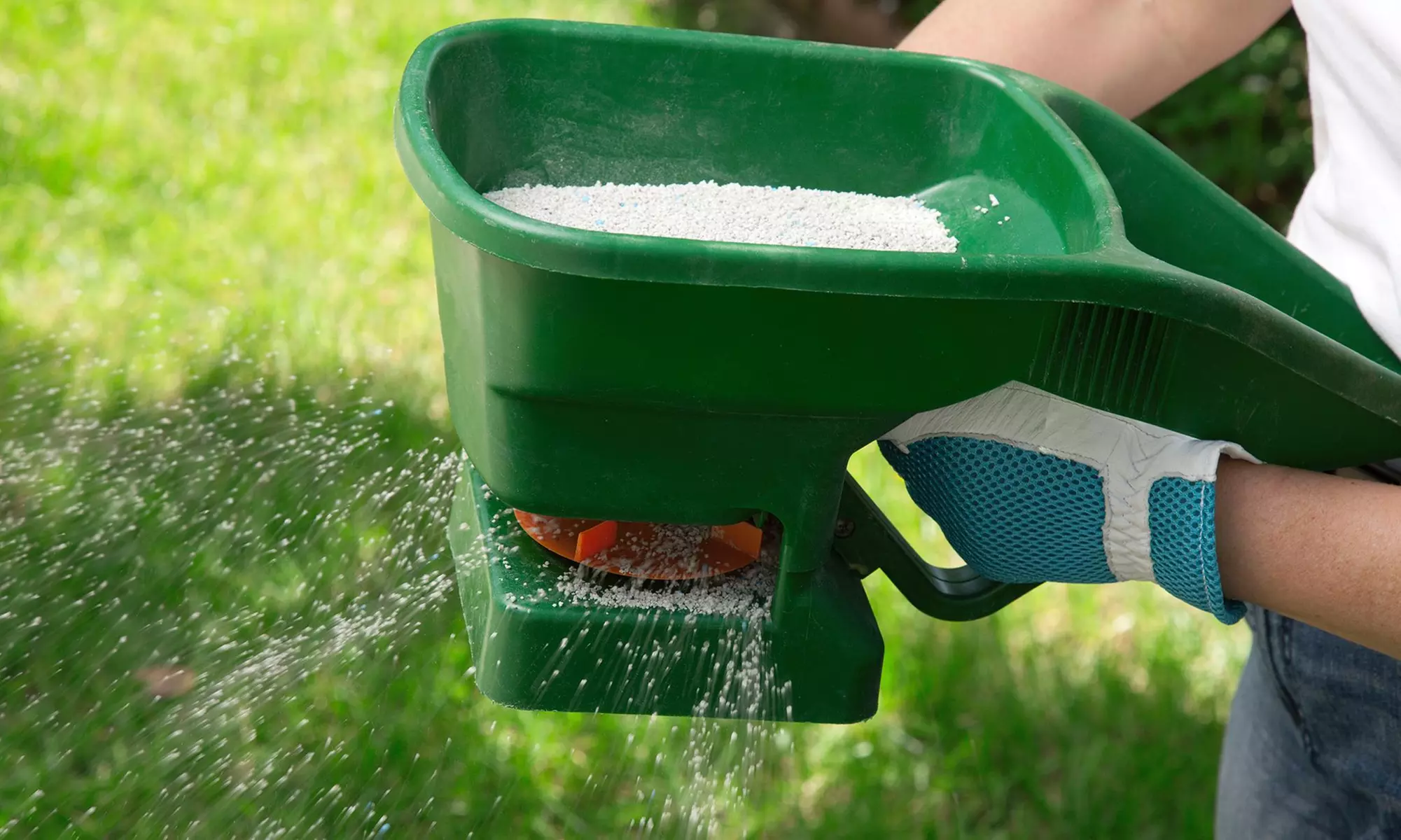 $83 Off $150 Worth of Fertilization Service - Primary Image