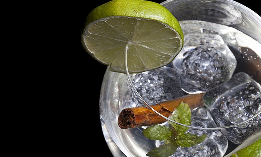 Image 1: Cata y curso gin tonics