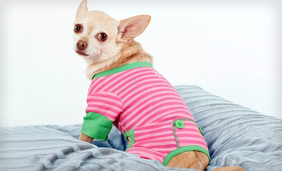 Lookin' Good Pet Pajamas (Up to Half Off). Multiple Styles and Sizes Available. Free Returns. - Primary Image