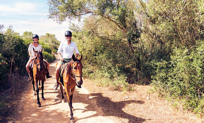 Image 16: Paseo a caballo de 1 hora por el Parque del Guadarrama con refresco