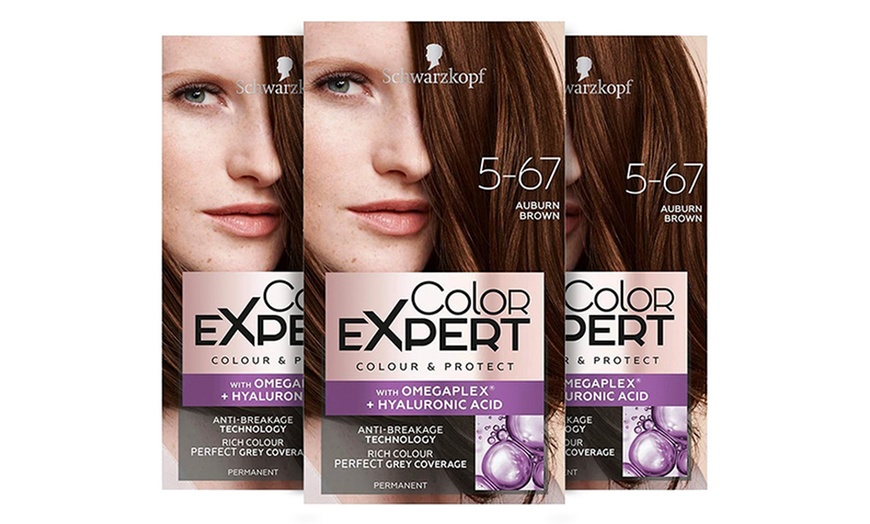 Image 6: Schwarzkopf Color Expert Hair Dye