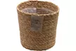 Lot de 4 plantes purificatrices d'air, cache-pots inclus - Image 5