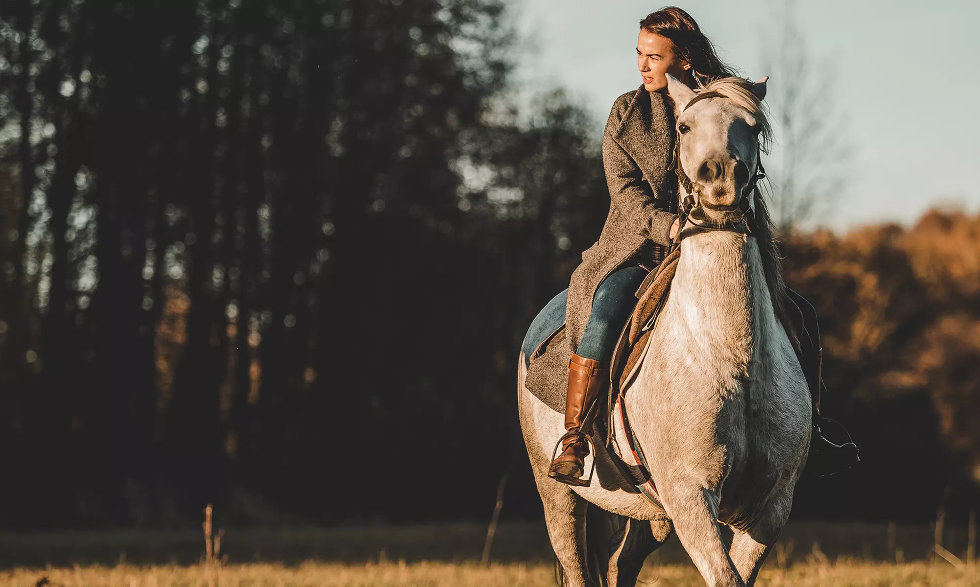 Ruta a caballo de 1 h en Montserrat con guía experto para 1 o 2