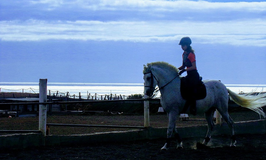 Image 2: Paseo a caballo para 2 