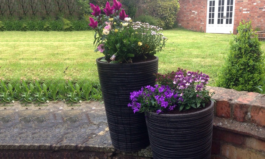 Image 5: Garden Fibreclay Plant Pots