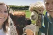60-Minute Baby Alpaca Experience or Alpaca Walking Experience with Afternoon Tea for One or Two (Up to 35% Off) - Image 6