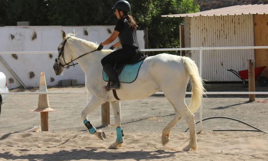 Image 2: Clases de equitación para 1 persona en Finca Ecuestre La Primavera