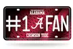NCAA License Plate, #1 Fan with Team Logo - Second Medium
