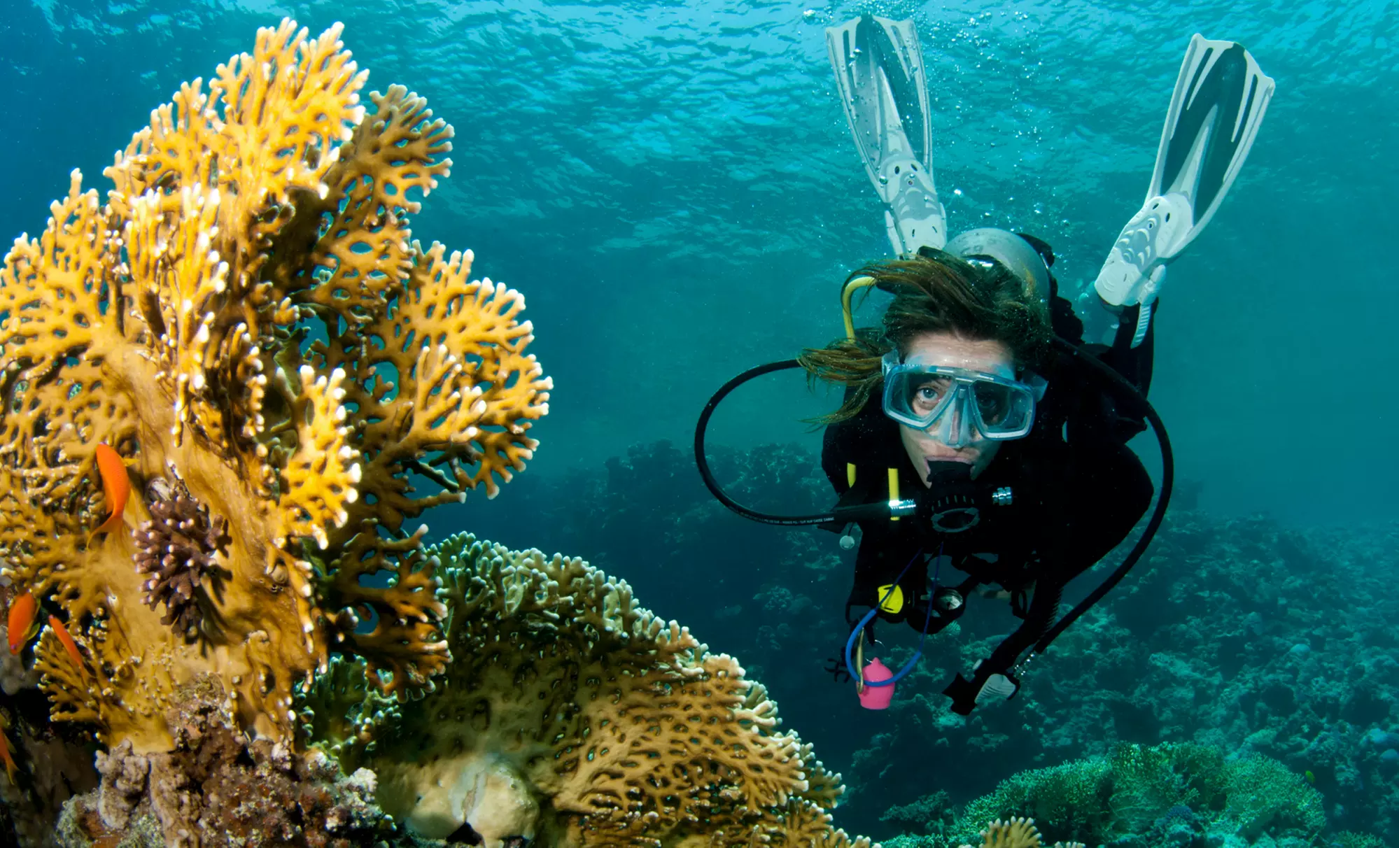 Basic or Advanced PADI Open-Water Scuba-Certification Course with Dives at Dive Zone Scuba (Up to 57% Off) - Primary Image