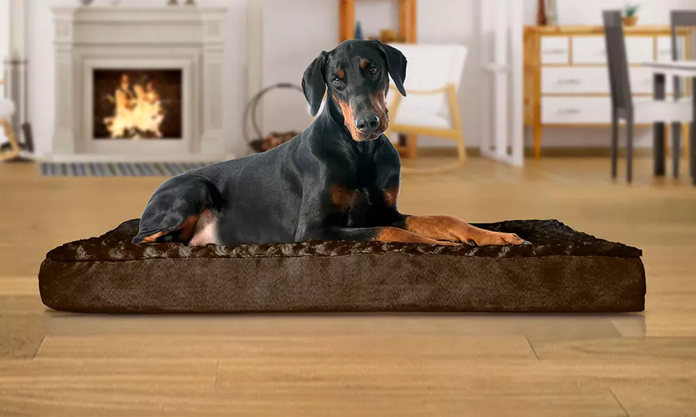 Memory Foam or Orthopedic Pet Bed in Ultra-Plush or Faux-Fur  - Primary Image