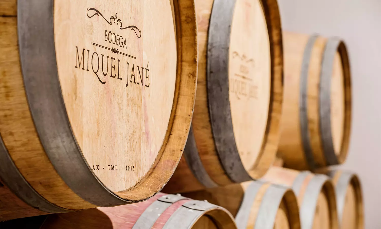 Viticultura, enología y cata para 1 o 2 en Bodega J Miquel Jane