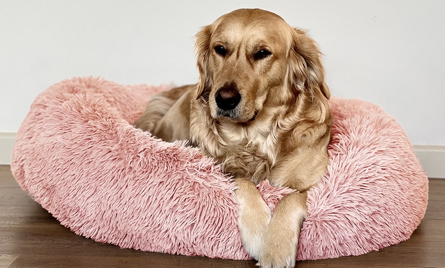 Image 26: Niches, Paniers en tissu peluche pour Chiens et Chats Souples, Antidérapantes et facilement Lavables