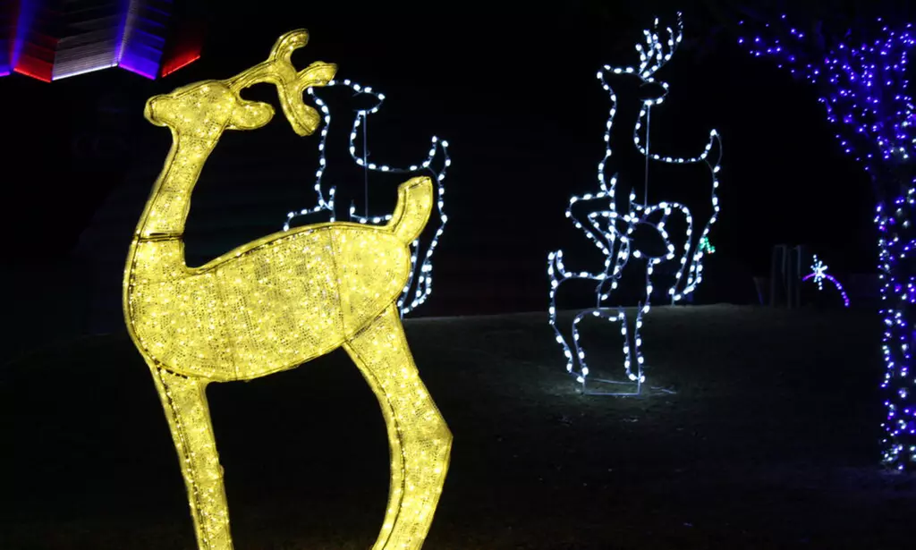 1 Vehicle for Up to 2 or 3-7 Passengers to Night of Lights (Up to 20% Off) - Second Medium