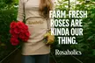 Rosaholics Deal: Up to 74% Off Premium Roses & Exotic Flowers - Second Medium
