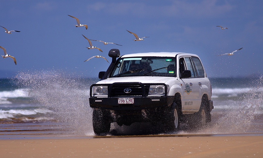 Image 5: Fraser Island: 2-5-Night Stay and Wine - BYO 4WD