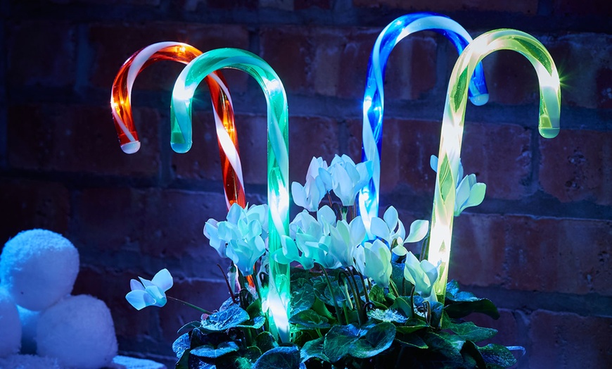 Image 5: Christmas Candy Cane Stake Lights