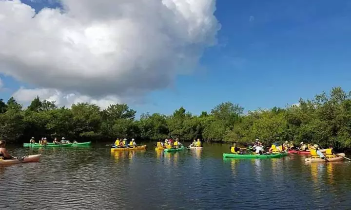 Up to 46% Off Kayak Tours from Daytona Beach Kayaking