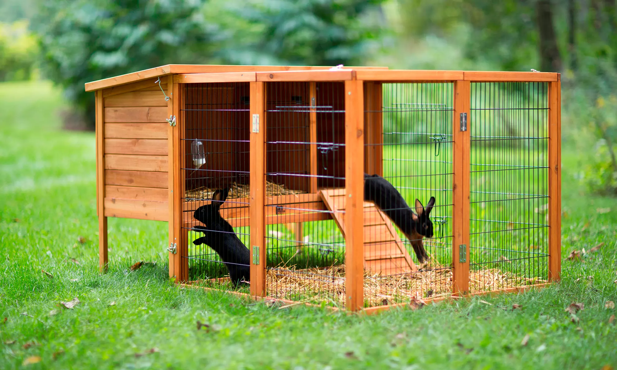 Prevue Pet Products Rabbit Hutch and Extension Playpen - Primary Image