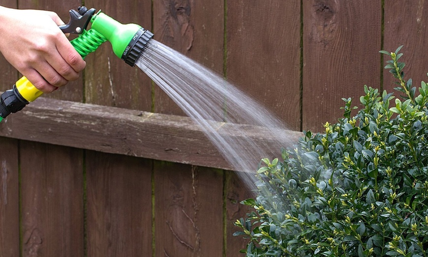 Image 6: Hose on Reel with Spray Gun