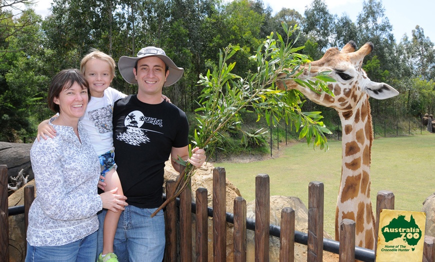 Image 6: Admission and Hospital Sneak Peek to Australia Zoo