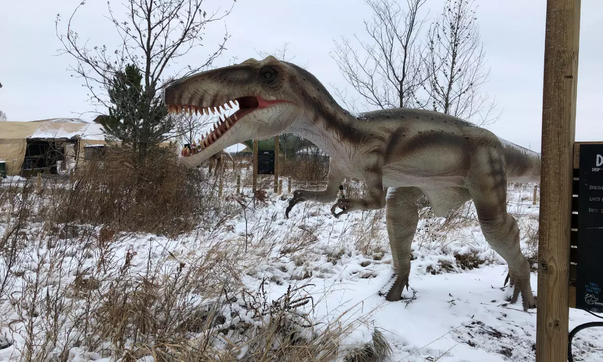 Holly Jolly Jurassic Holiday (Nov. 26 – December 31) at Field Station: Dinosaurs (Up to 30% Off) - Second Medium