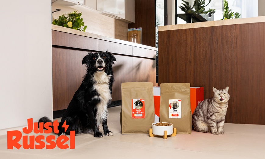 Image 1: 35 % de remise sur l'alimentation personnalisée pour votre animal