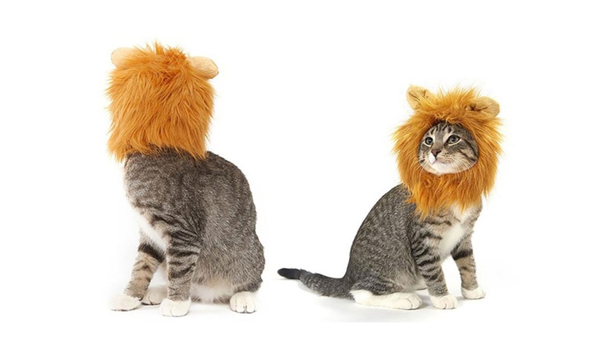 Image 2: Lion Mane for Cats or Dogs