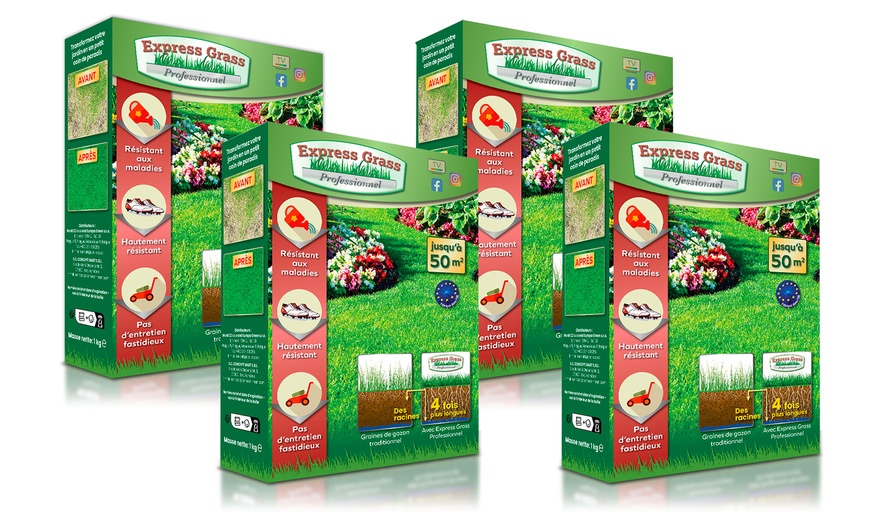 Image 3: Bis zu 12 Packungen Express Grass Rasensamen