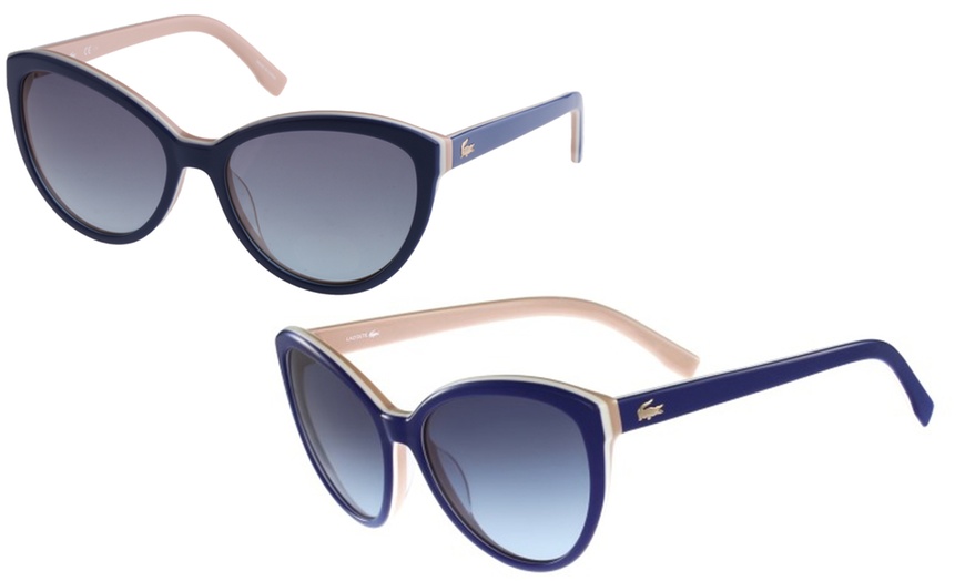 Image 21: Lacoste Sunglasses