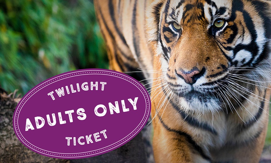 London Zoo Twilight Ticket in London Groupon