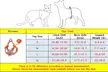 Dog Harness & Leash Set - Reflective, No-Pull (Small/Medium Dogs) - Second Medium