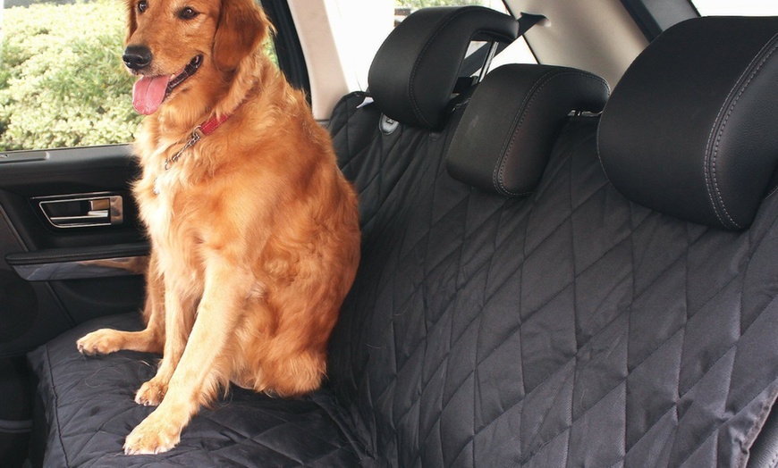 Image 1: Lightweight Pet Seat Protector