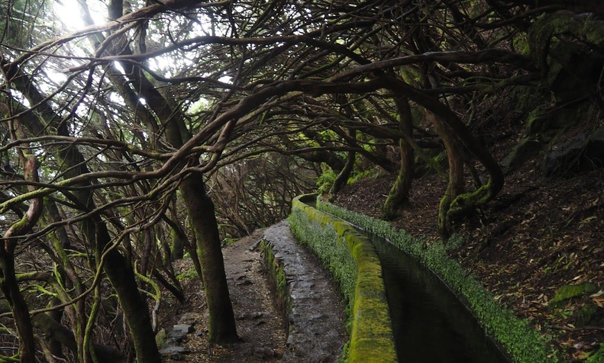 Image 8: ✈ 6-Day Madeira: Explore Portugal's Garden Island with Flights and Car