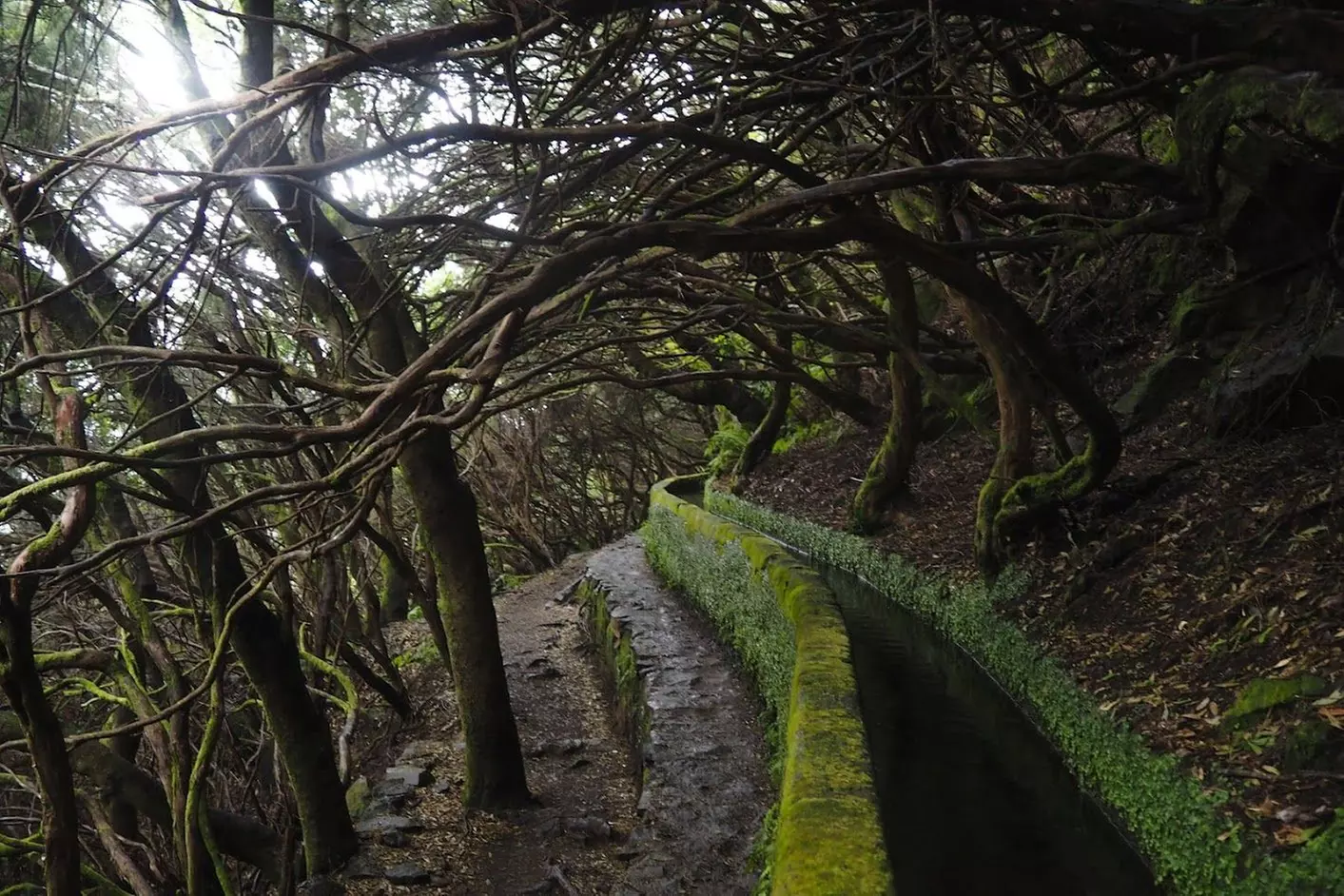 ✈ 6-Day Madeira: Explore Portugal's Garden Island with Flights and Car