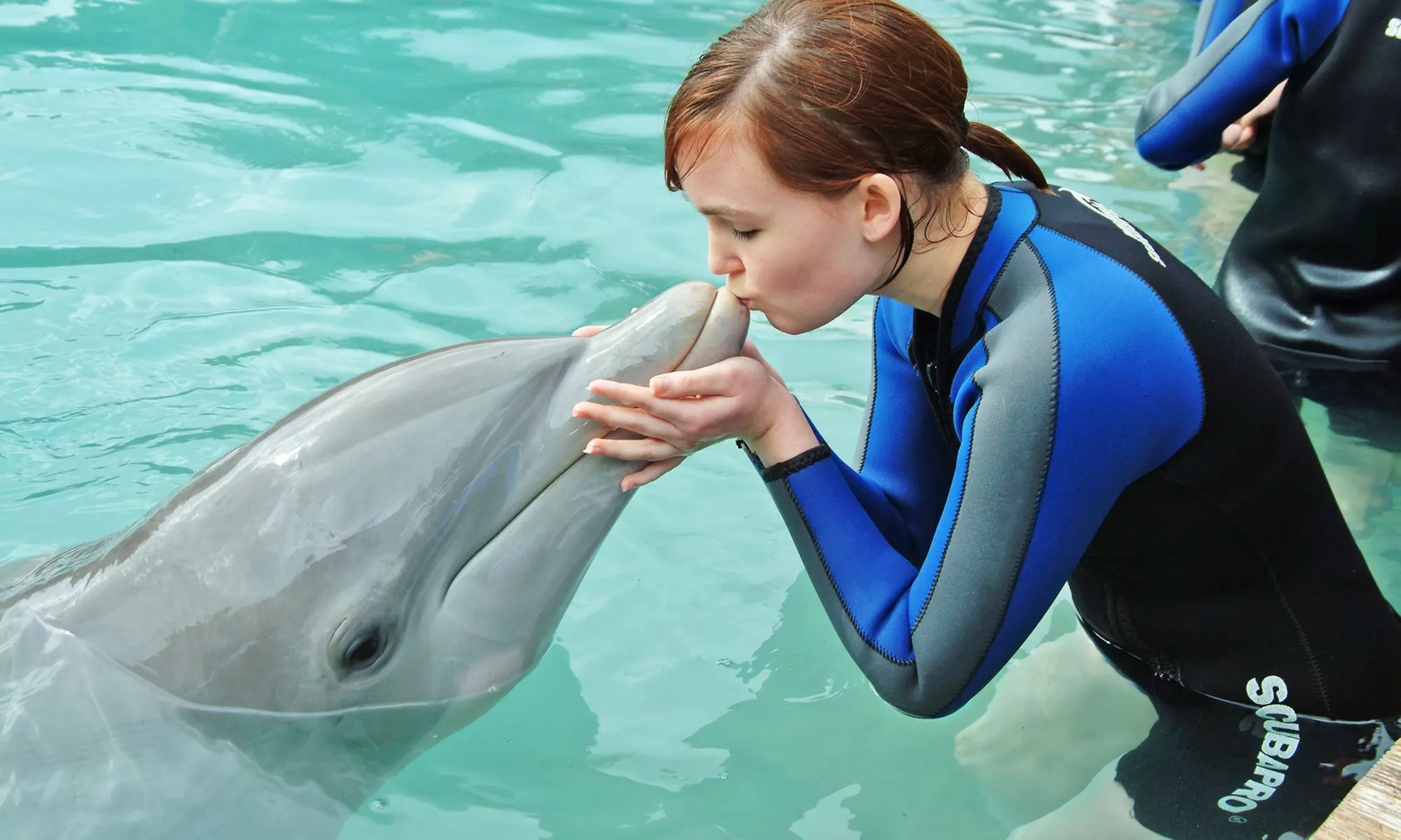 Sea Life Encounter with Dolphins, Penguins, or Seals at Miami Seaquarium (Up to 40% Off). Six Options Available. - Primary Image