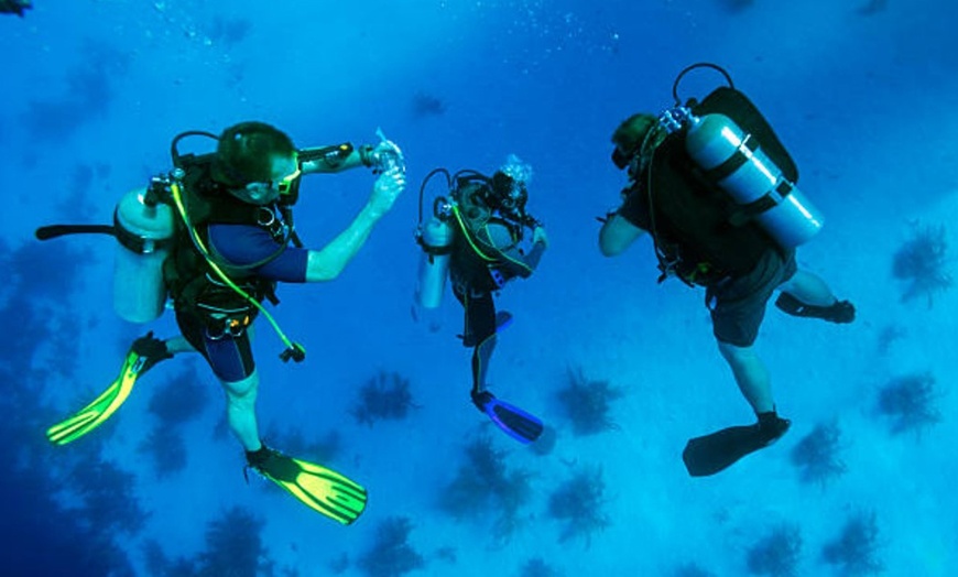 Image 8: Bautismo de buceo en barco hundido para 1 o 2 personas con fotos