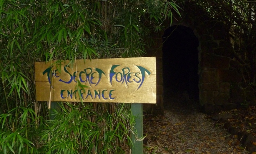 Image 2: Secret Forest Entry for Two