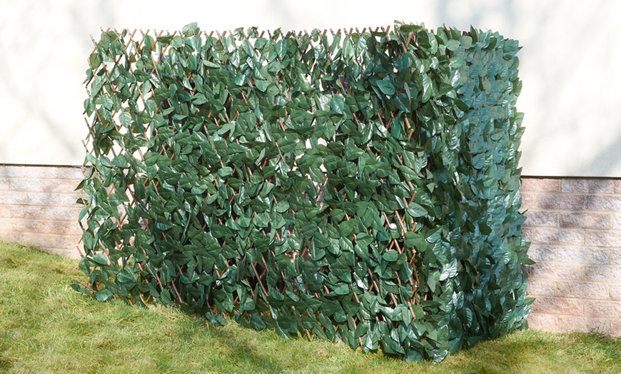 Image 3: Artificial Hedge Trellis